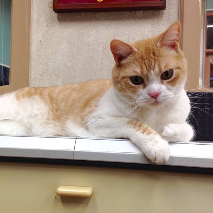 C6b9d900 3366 430f 91b6 834d81b169d9