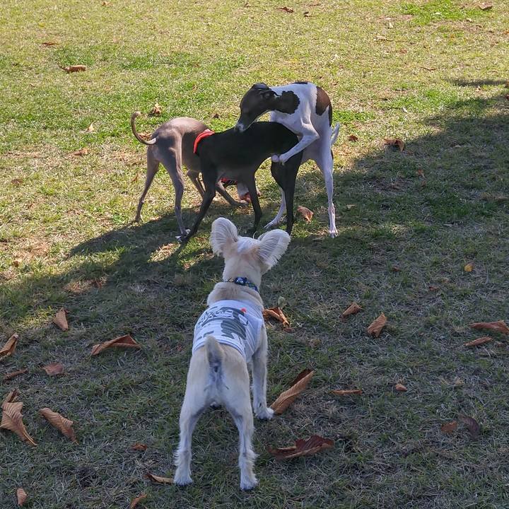 C6ba6c77 dd9d 41ac 9d30 6db449b02fbd