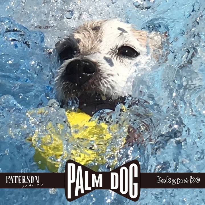 C6bae5d2 5b0f 4d36 ad57 8f7baf8505e2