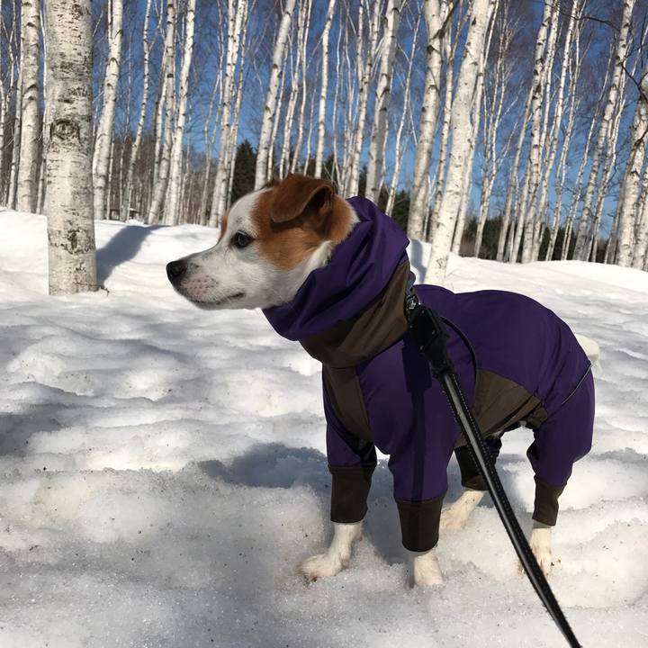 C6baebad ba84 45cc 95cc ee993534d0c7