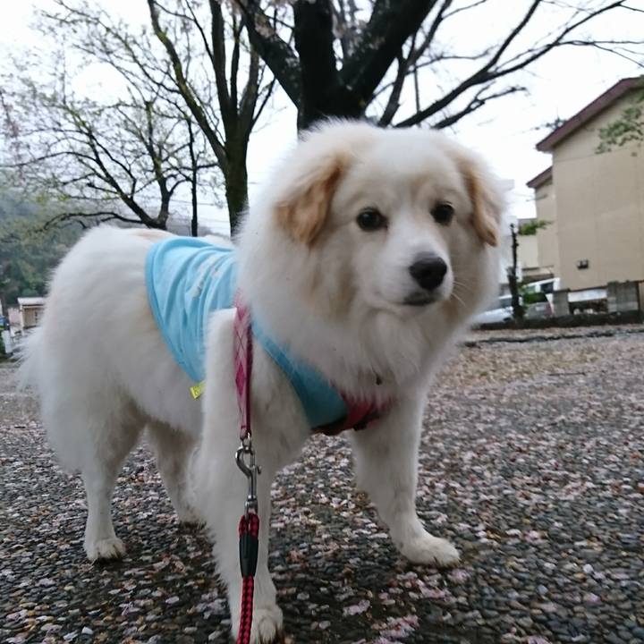 C6bb39cf 011f 4ecb 9779 75015371a91e