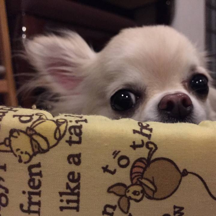 C6bc0290 7170 435a b578 6da667ebe400