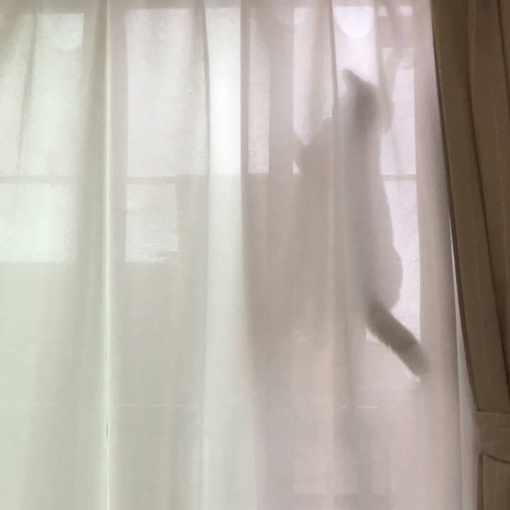 C6bcc1d9 868f 436a 8e69 b1937a2fb0af