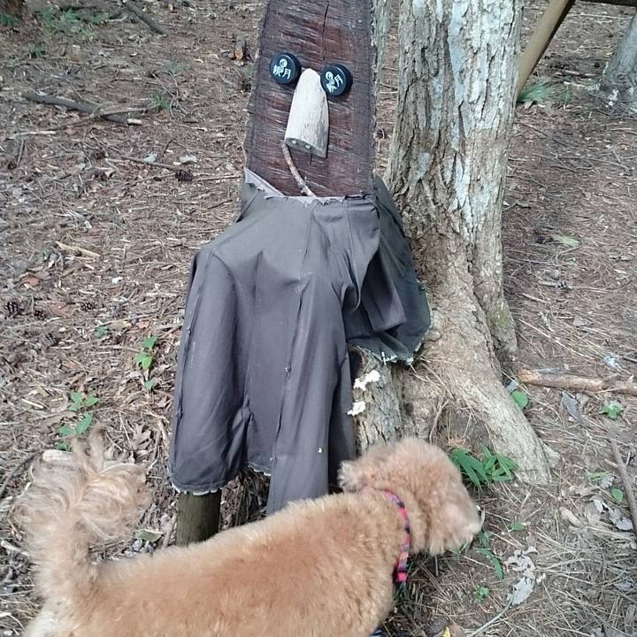 C6bd28da b346 418a 88db 01a0a54f9f4e