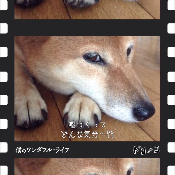 C6bddf0d eff3 4475 91f7 d45e5e3902a1