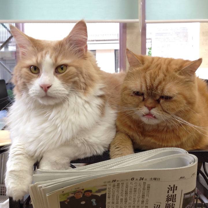 C6be2dac 56a9 4196 afa8 51be1ab5a6dc