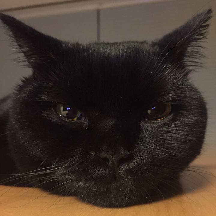 C6beebb7 725d 416c 8d9f ff4ac06e709c