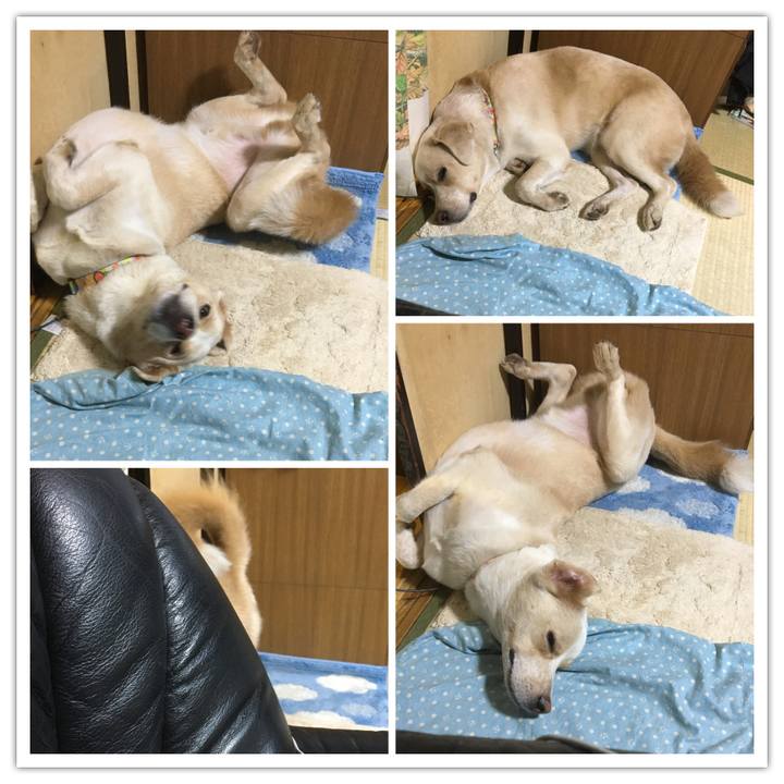 C6bfc3a3 3e42 4ce3 a032 88f358464a5c