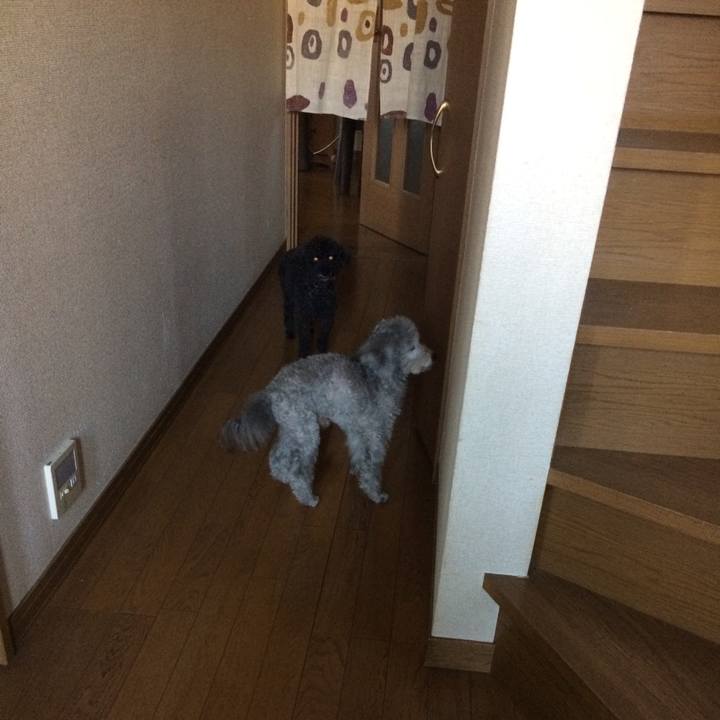 C6bfe1f5 611f 49b3 b902 3d7687ad7f4f