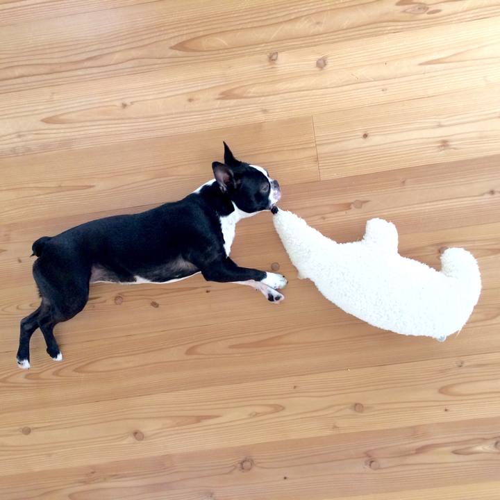 C6c15b7a 1fc9 4690 9cfb c312c046d21a