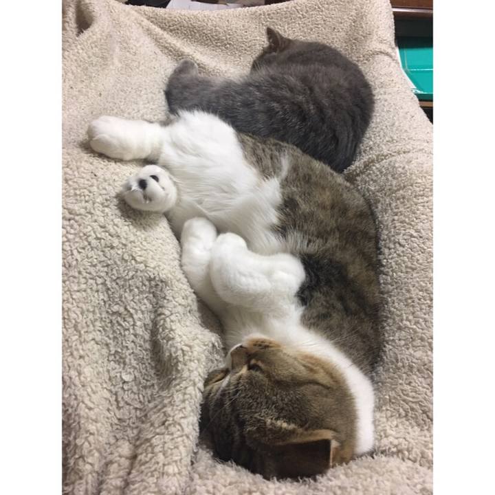 C6c194ca bedf 4a54 9b4a dab83c507b2c