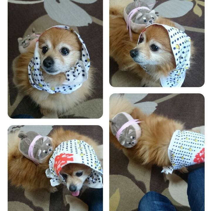 C6c1fef9 67b2 4817 840f 1c18aadf40ee