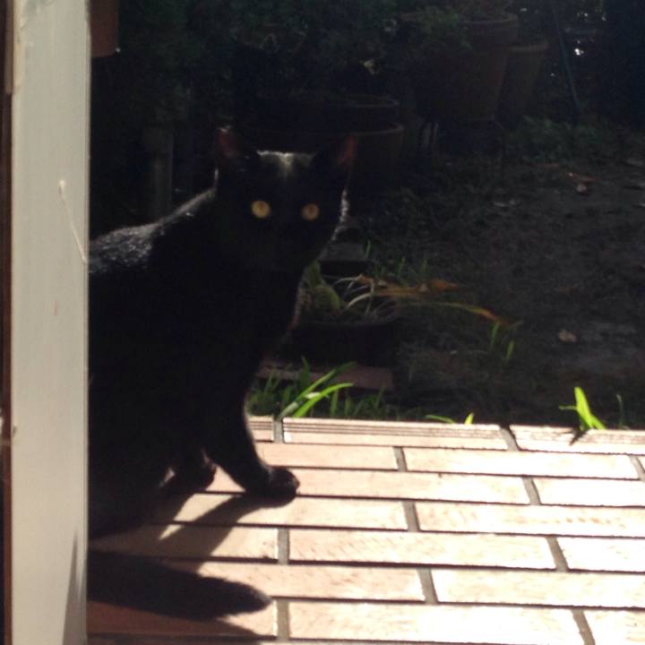 C6c20418 8cb9 441d 99b7 d5db41b5f628