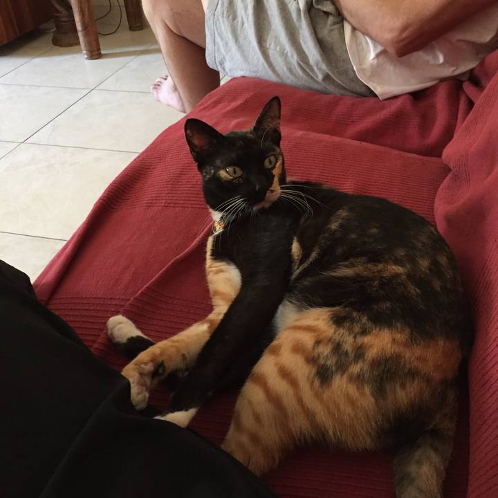 C6c26b4e ef4f 4ac8 a00c 296e3e8b8a7d