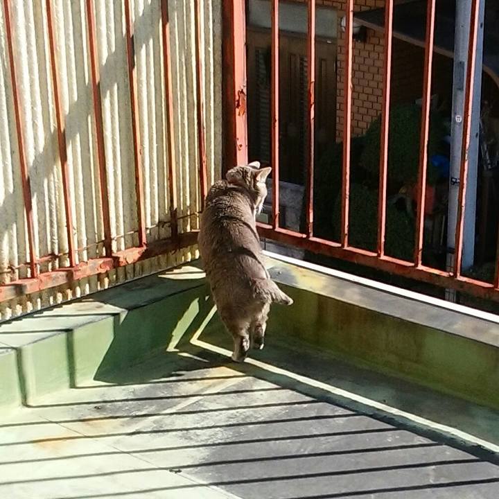 C6c2b591 a352 41f5 8eea 84837f57f69c