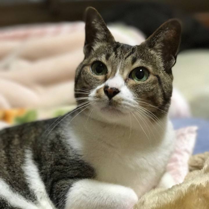 C6c2d167 9954 410c ada3 2b8de36c97c5