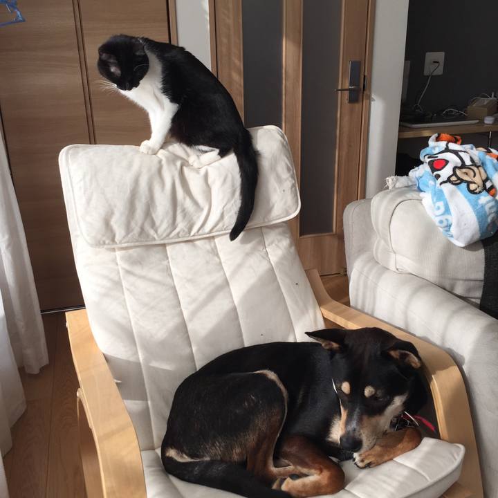 C6c3a657 b8a3 4b0e 90e3 3780fb1753f8