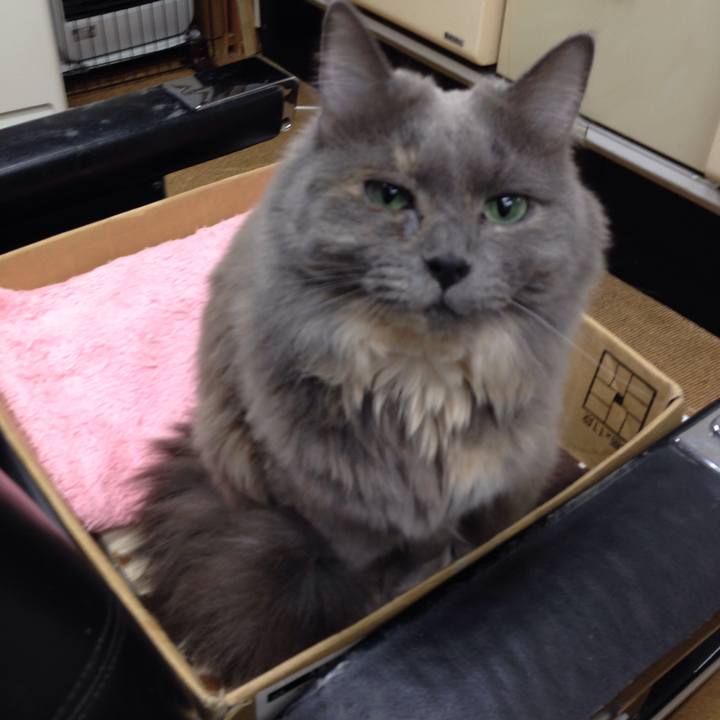 C6c3b573 bb29 43c0 b58b ecea652953a8