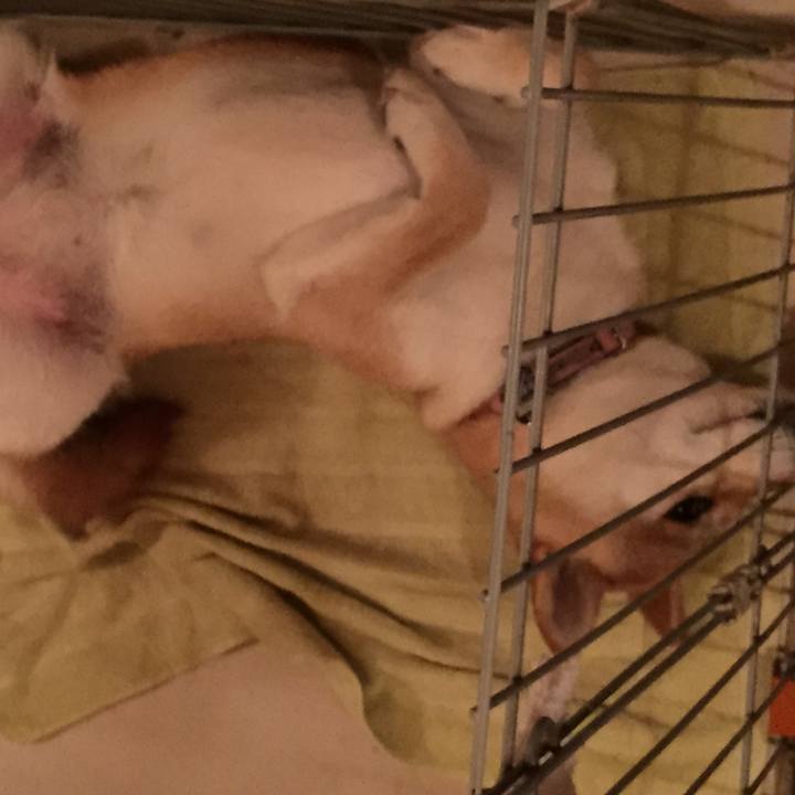 C6c47190 50ef 48ff 8572 458f539c5c6d