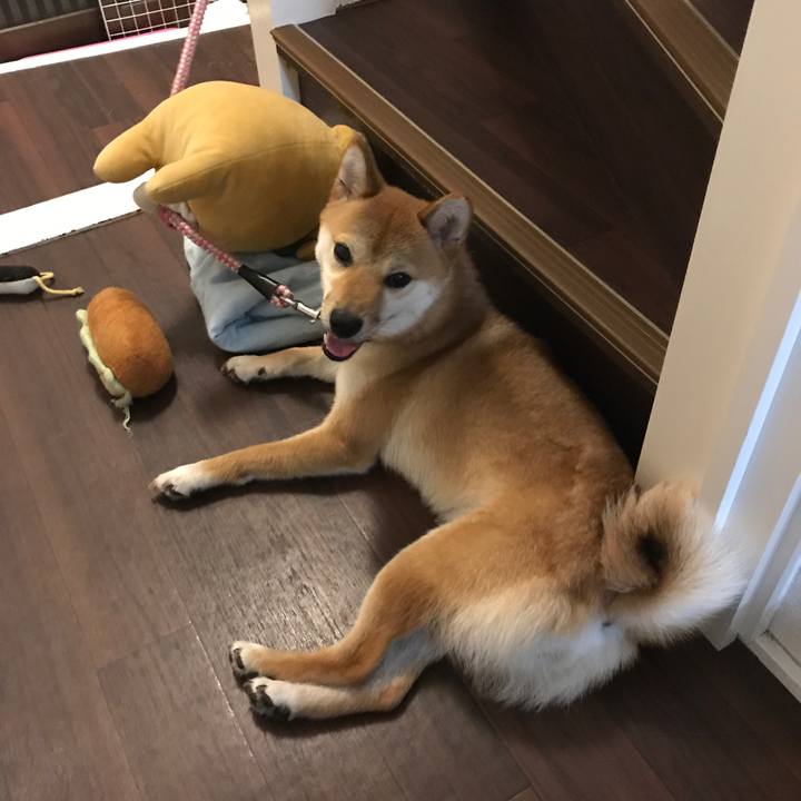 C6c49667 75d3 47a4 89f8 055877ef141c