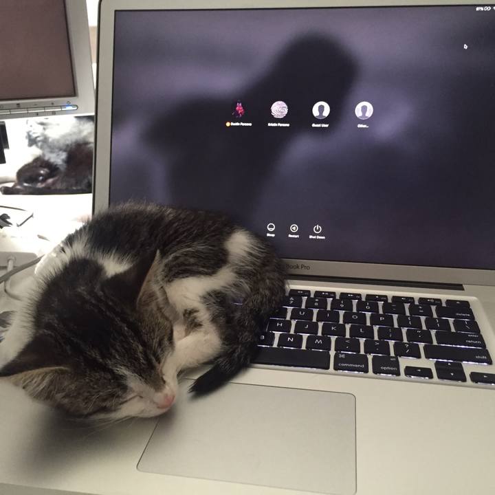 C6c4cc3a b07c 4051 8ff8 4c9391efe95f