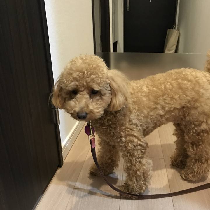 C6c5811b 1acc 4de9 a0ed 79420a0096c0