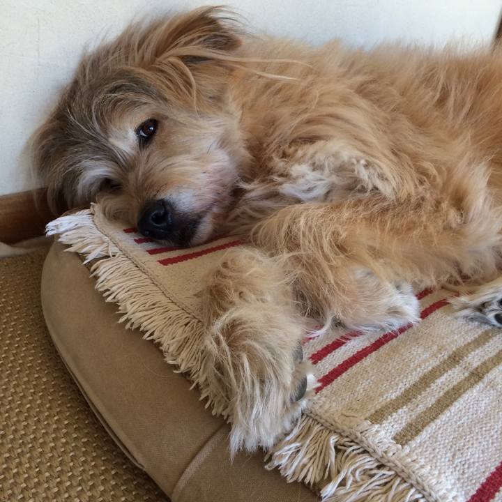 C6c613fa a417 4520 9160 35f43dbd571a