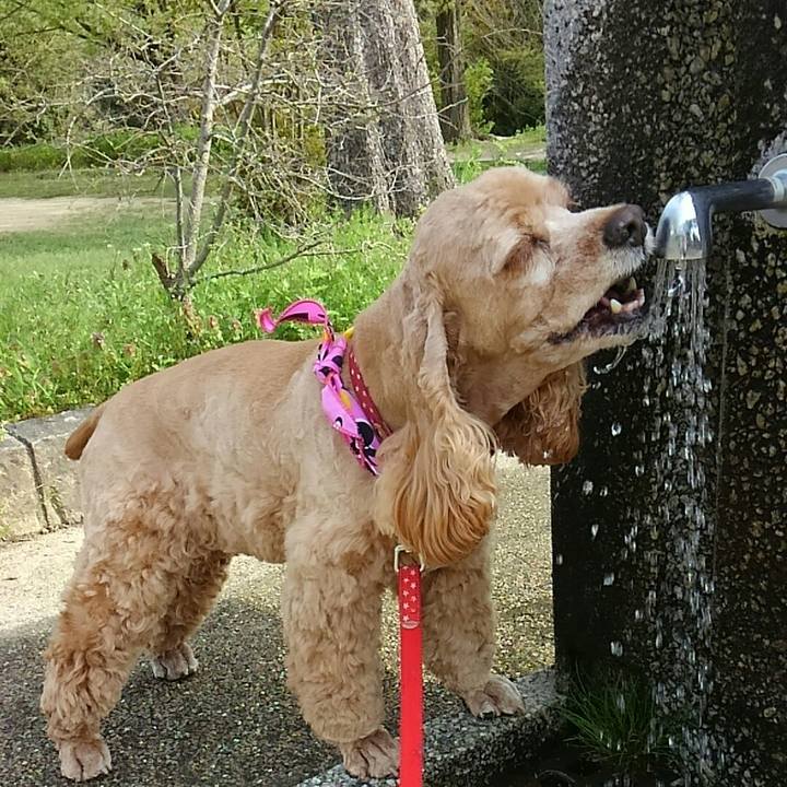 C6c625e5 5288 4a75 85fd 372d09724160