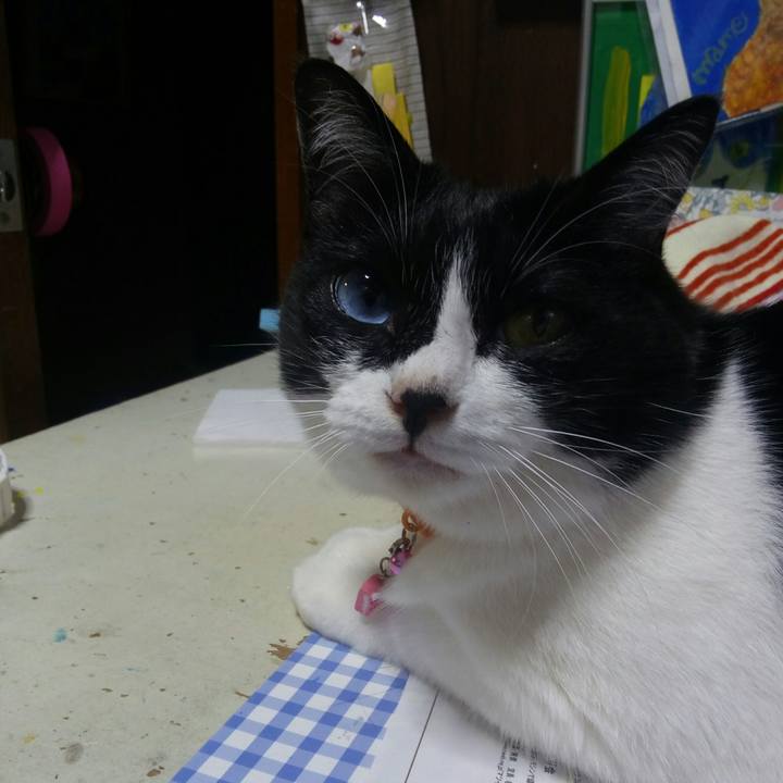 C6c64a81 bb51 47ef 8491 53e5e6aaa36a