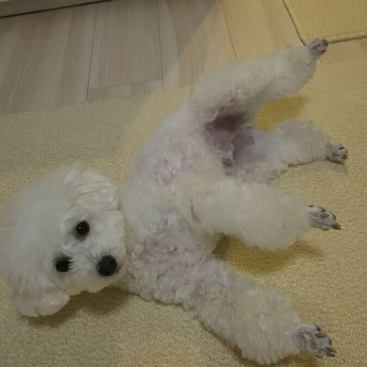 C6c7b8c3 0682 4247 9057 709683f077e4