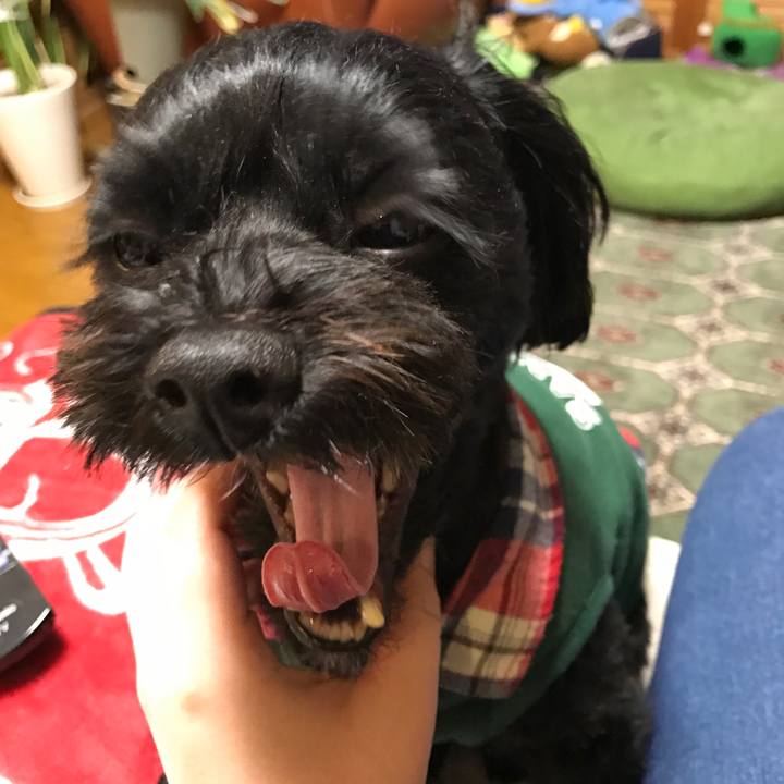 C6c7d4c0 0dc1 4581 bf68 c57b847d4c95