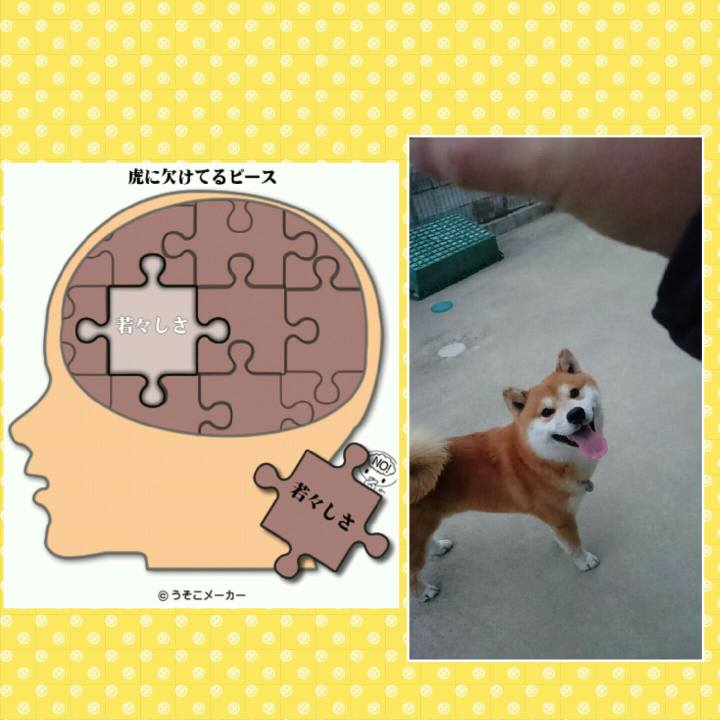 C6c7d9c1 9800 4cb7 8091 332fb239a4a5