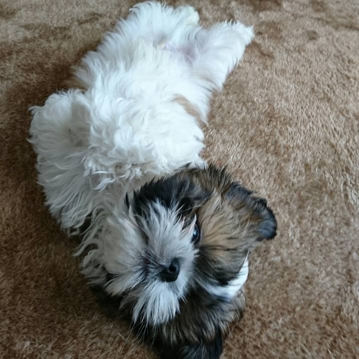 C6c895f6 fd1f 47ad 9d8b c26c5d716c97