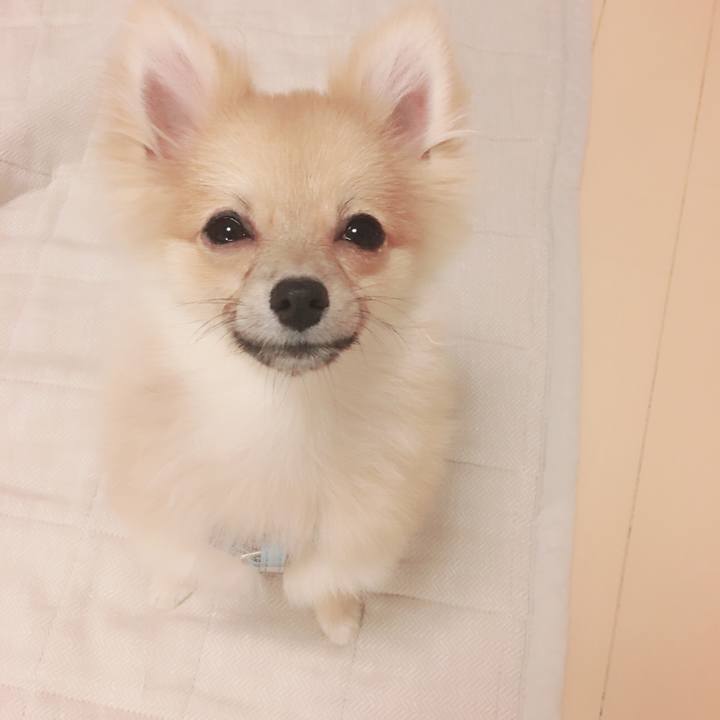 C6c94dd5 30e2 4128 b5c8 4c5e3ee2086c