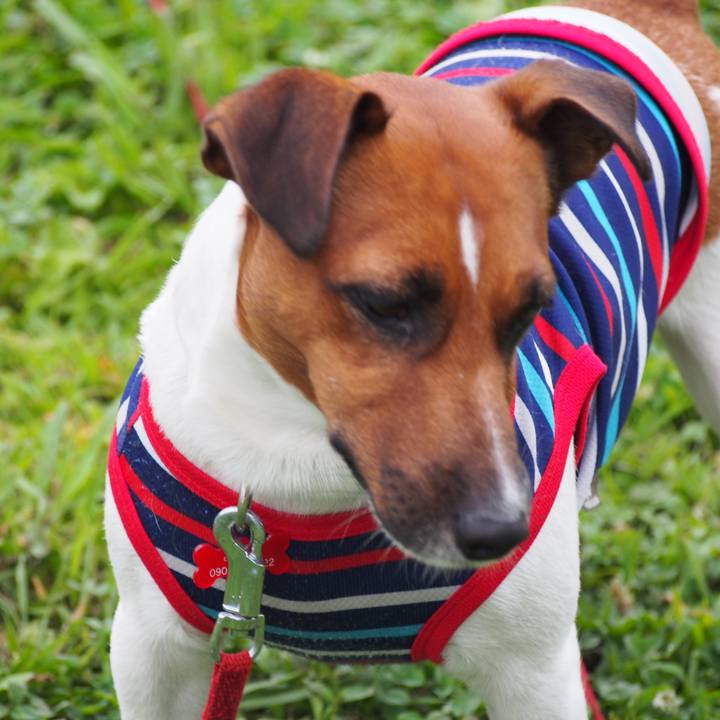 C6c95eaa 8fb1 48c9 a530 e615ba7df63a