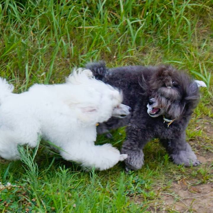 C6c9fa58 7848 4d7b a8d0 db0f629835a7