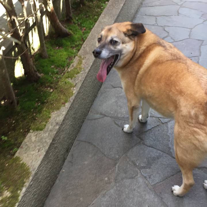 C6ca2ac7 218f 431c 995c 469b7ddff836