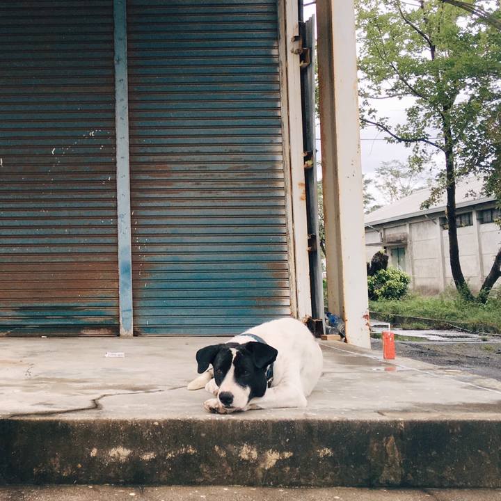 C6ca6bbd e3ed 45da 9007 5df8b5ad60b7