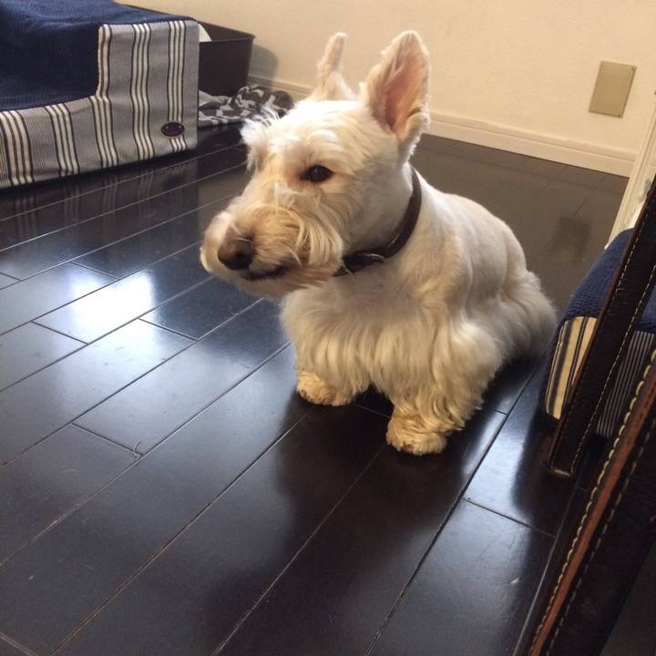 C6ca786c c21b 4854 9dac c0e3fe494aa8