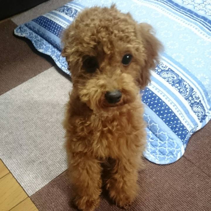 C6caa8ba 6ae5 4285 976c bea7573bdb7a