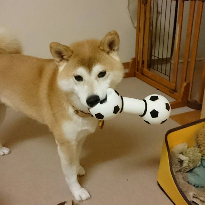 C6cb260e f558 40db 9010 aea8b6498e47