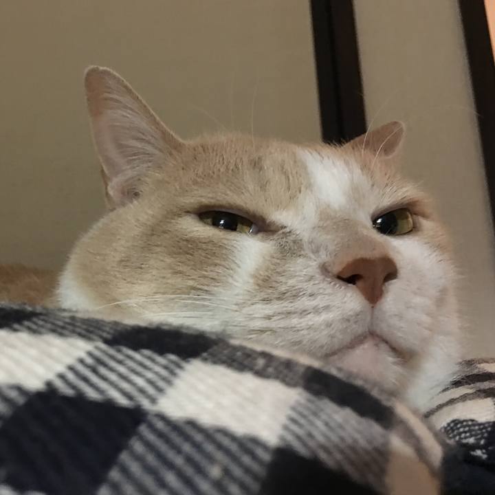 C6cb5051 3664 44f4 ba4b a6b1512c824f