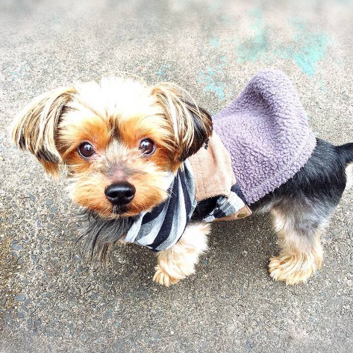 C6cb8faf 91a8 406c ab1e eceac3860b56