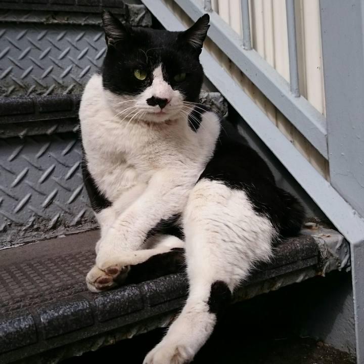 C6cbcbcf 5b30 459f 996a a34feb82dd09