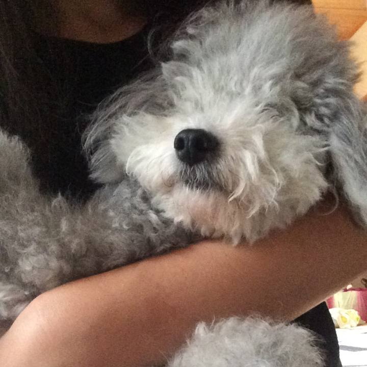 C6cbf73a 912d 46c7 9b02 3fadfa31abde