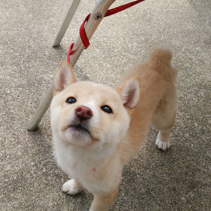 C6cc530a 8349 4650 b7c6 60fb5cf93a0c