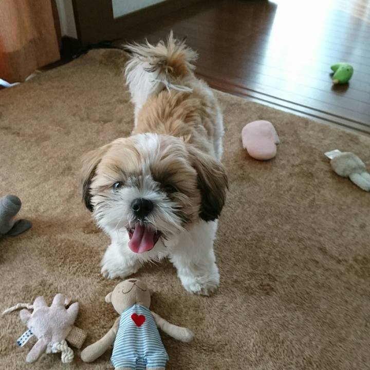 C6cccf9d 1365 4d0c 8cde c6331ecf92db