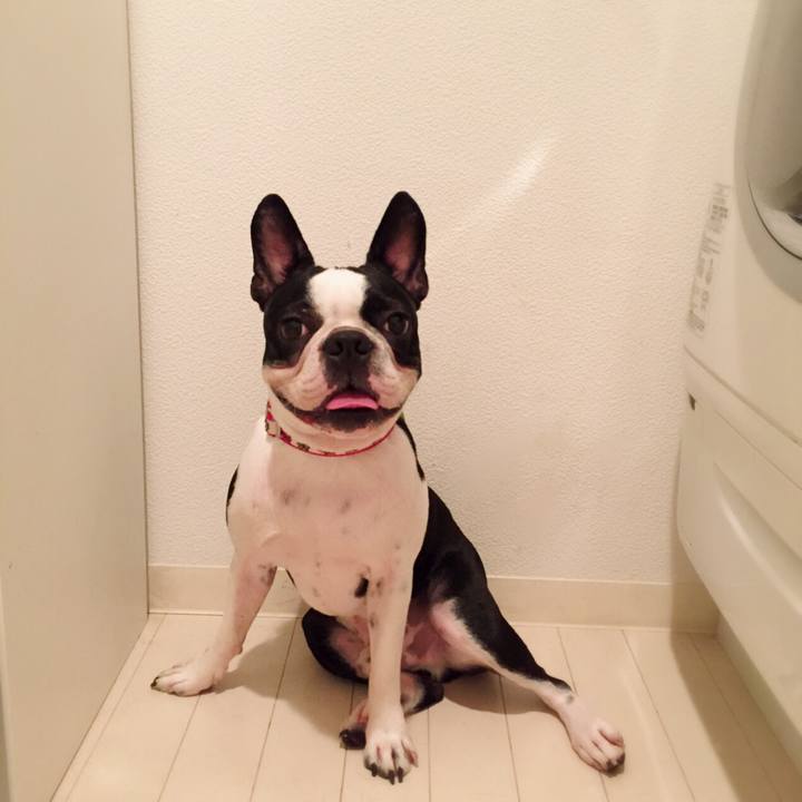 C6ccee64 51a1 459e bd14 312ce466f919