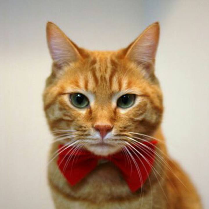 C6cd1e16 8a0e 479d 9f8d 907219851961