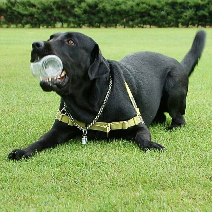 C6cdd065 539a 45cb 91c3 41c15f487970